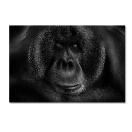 Trademark Fine Art Kay 'Maurice' Canvas Art, 30x47 1X00394-C3047GG